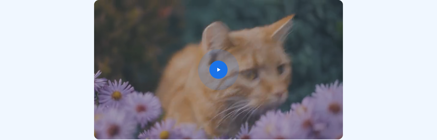Tractive — Testimonials